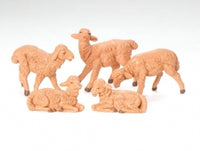 Brown Sheep - Set of 5