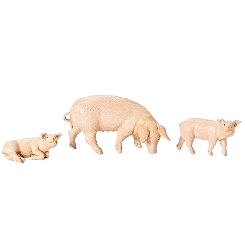 Pigs - Set of 3